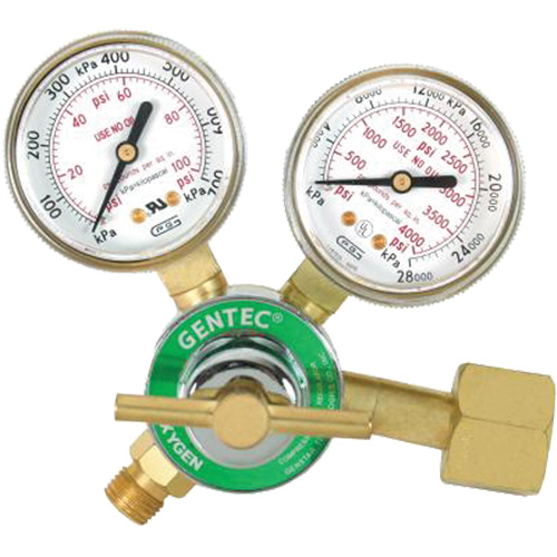 Light-Duty Single Stage Regulator, Oxygen, CGA540 Inlet Southpoint Industrial Supply