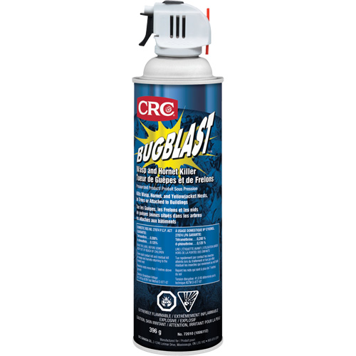 Insecticide Bug Blast, 397 g, &agrave; base de solvant Southpoint Industrial Supply