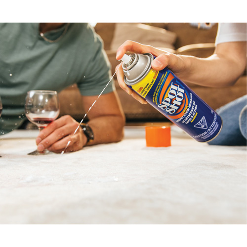 D&eacute;tachant instantan&eacute; et professionnel pour tapis Spot Shot, 496 g, Canette a&eacute;rosol Southpoint Industrial Supply