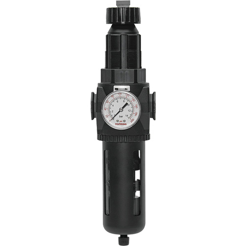 Modulair 400 Filter/Regulator with Manual Drain, 3/4" NPT, 200 psi, 9.1 fl. oz. Capacity Southpoint Industrial Supply