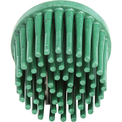 Disques bristle Roloc, Grain 120, 1" dia. Southpoint Industrial Supply