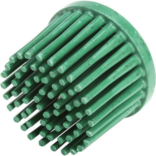 Disques bristle Roloc, C&eacute;ramique, Grain 50, 1" dia. Southpoint Industrial Supply