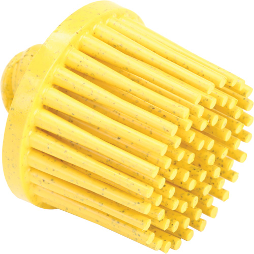 Disques bristle Roloc, Grain 80, 1" dia. Southpoint Industrial Supply