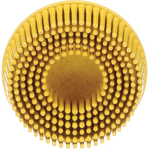 Disques &agrave; soies Roloc Scotch-Brite, Grain 80, 2" dia. Southpoint Industrial Supply