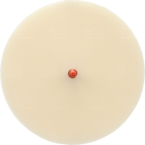Scotch-Brite Moulding Adhesive and Stripe Removal Disc 7502, 6" Dia. Southpoint Industrial Supply