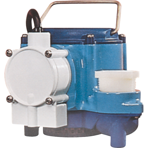 Pompes submersibles, 1/3 CV, 46 gal./h, 115 V, 9 A Southpoint Industrial Supply