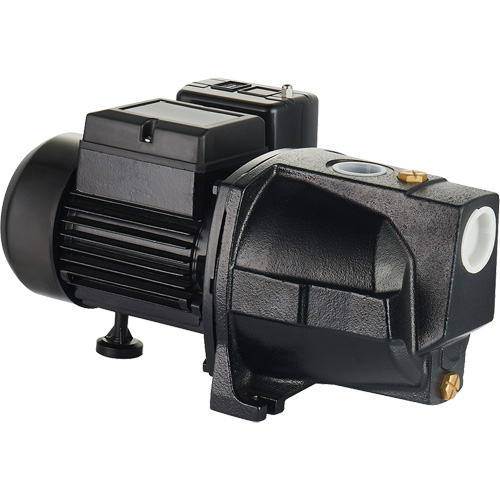 Dual Voltage Cast Iron Shallow Well Jet Pump, 115 V/230 V, 1100 GPH, 1 HP Southpoint Industrial Supply