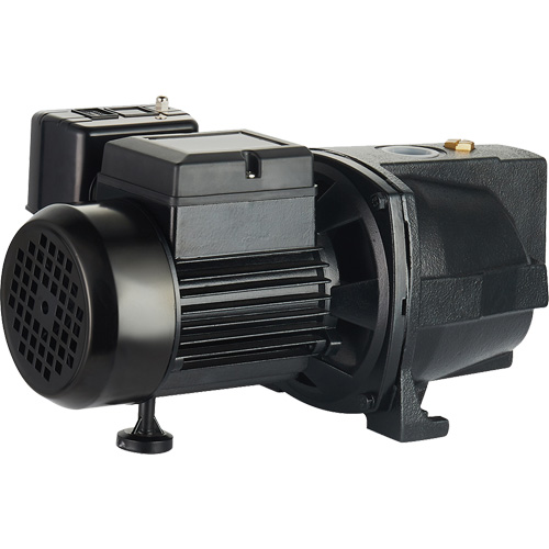 Dual Voltage Cast Iron Shallow Well Jet Pump, 115 V/230 V, 1100 GPH, 1 HP Southpoint Industrial Supply