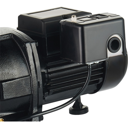 Dual Voltage Cast Iron Shallow Well Jet Pump, 115 V/230 V, 1100 GPH, 1 HP Southpoint Industrial Supply