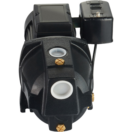 Dual Voltage Cast Iron Shallow Well Jet Pump, 115 V/230 V, 1100 GPH, 1 HP Southpoint Industrial Supply