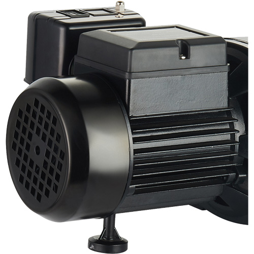 Dual Voltage Cast Iron Shallow Well Jet Pump, 115 V/230 V, 1100 GPH, 1 HP Southpoint Industrial Supply