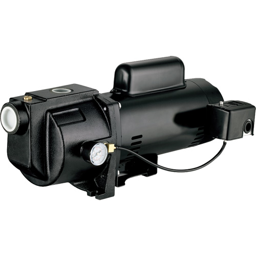 Dual Voltage Cast Iron Shallow Well Jet Pump, 115 V/230 V, 1260 GPH, 1 HP Southpoint Industrial Supply