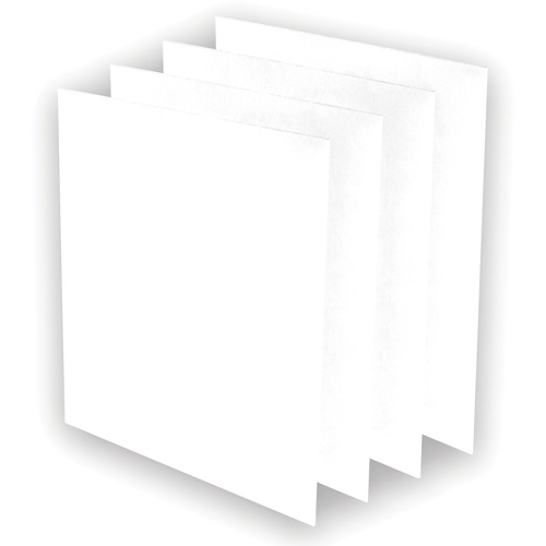 Pr&eacute;-filtres AeraMax Pro AM3 ou AM4, 13,75" la x 0,13" p x 14,38" h Southpoint Industrial Supply