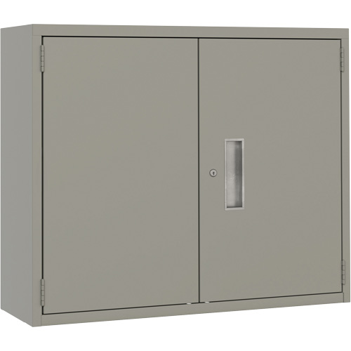 Armoire murale, Acier, 2 Tablettes, 30" h x 36" la x 12" P, Gris Southpoint Industrial Supply