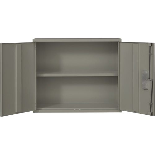 Armoire murale, Acier, 2 Tablettes, 30" h x 36" la x 12" P, Gris Southpoint Industrial Supply