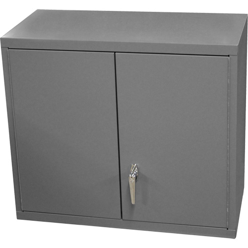 Wall-Mounted Cabinet, 27" H x 13-11/16" W x 35-7/8" D, 2 Shelves, Steel, Grey Southpoint Industrial Supply