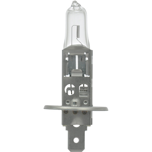 64155 Basic Automotive Bulb, Halogen, 78 W, Off White Southpoint Industrial Supply
