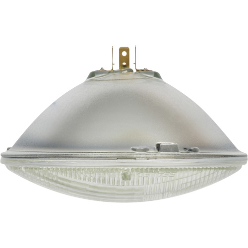 Phare automobile scell&eacute; de base H6024, 40 W, Blanc cass&eacute; Southpoint Industrial Supply