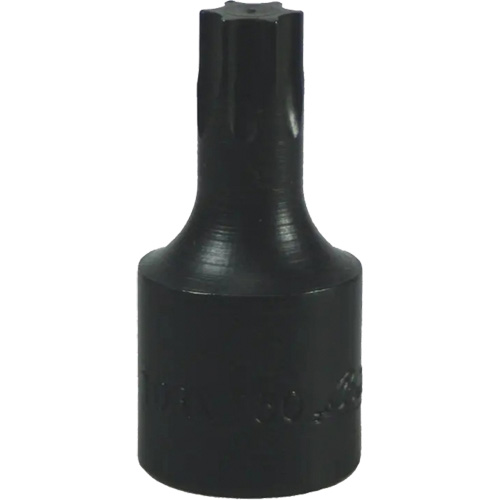T-50 Torx&reg; Bit Southpoint Industrial Supply