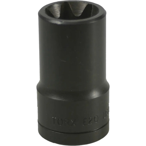 E-20 Torx&reg; Socket Southpoint Industrial Supply