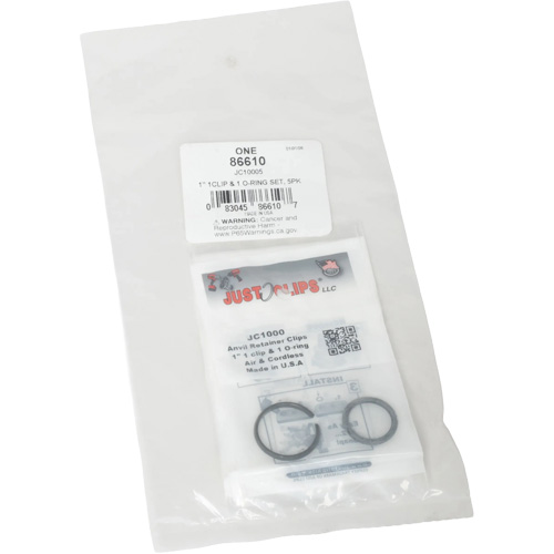 Jeu de clips et joints toriques de 1 po - en vrac Southpoint Industrial Supply