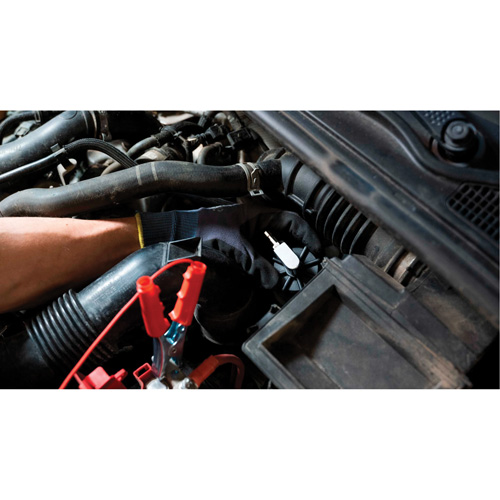Pompette de purge de frein Brake-Pro &agrave; structure haute avec adaptateurs Southpoint Industrial Supply