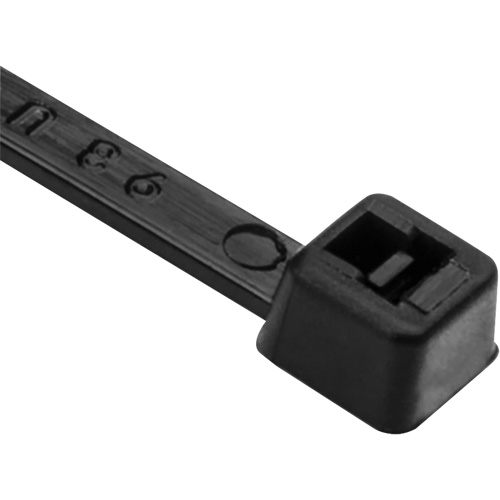 PA66 Cable Ties, 8" Long, 50 lbs. Tensile Strength, Black Southpoint Industrial Supply