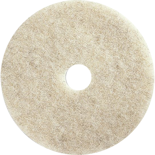 Tampons pour l'entretien des planchers, 21", Brunissage, Brun Southpoint Industrial Supply