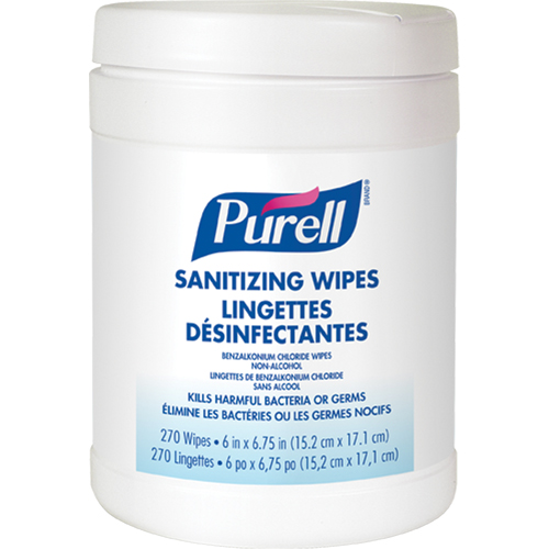 Lingettes antiseptiques pour les mains, Contenant Southpoint Industrial Supply