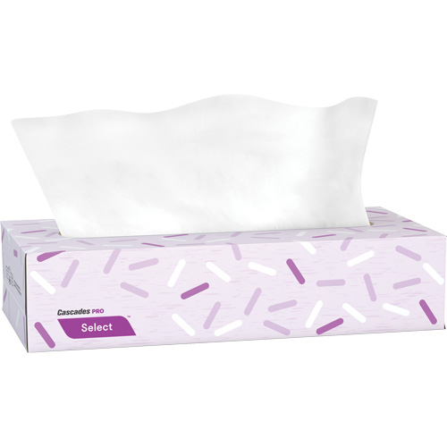Pro Select Facial Tissue, 2 Ply, 7.3" L x 8.1" W, 100 Sheets/Box Southpoint Industrial Supply