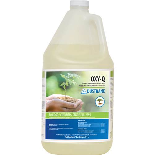 D&eacute;sinfectant &agrave; base de peroxyde d'hydrog&egrave;ne, 4 L, Cruche Southpoint Industrial Supply