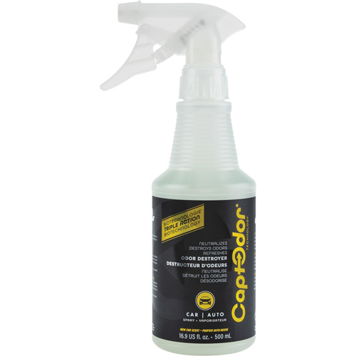 Car Upholstery Odour Destroyer Southpoint Industrial Supply