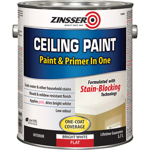 Peinture et appr&ecirc;t pour plafond en un seul produit, Blanc, Tr&egrave;s mat, 3,78 L, Gallon Southpoint Industrial Supply
