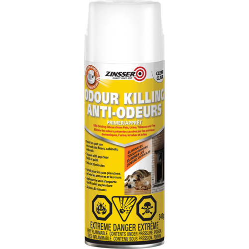 Odour Killing Primer, Aerosol Can, Clear Southpoint Industrial Supply