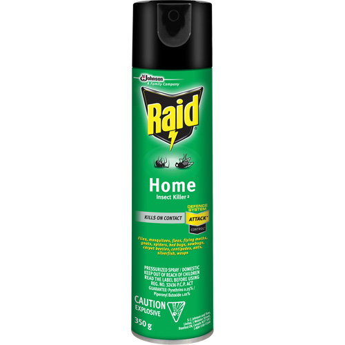 Insecticide pour insectes domestiques Raid, 350 g, &agrave; base de solvant Southpoint Industrial Supply