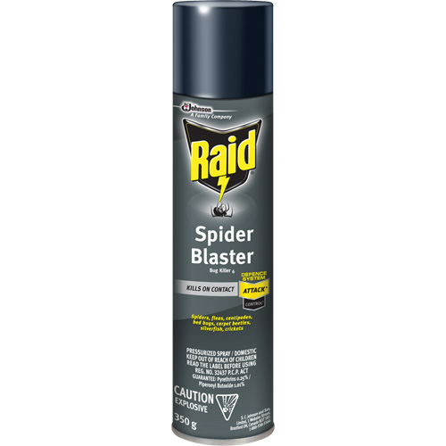 Insecticide exterminateur daraign&eacute;es Raid, 350 g, Canette a&eacute;rosol, &agrave; base de solvant Southpoint Industrial Supply