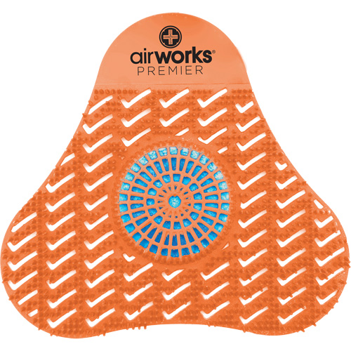 Tamis d'urinoir avec bloc d&eacute;sodorisant AirWorks Southpoint Industrial Supply