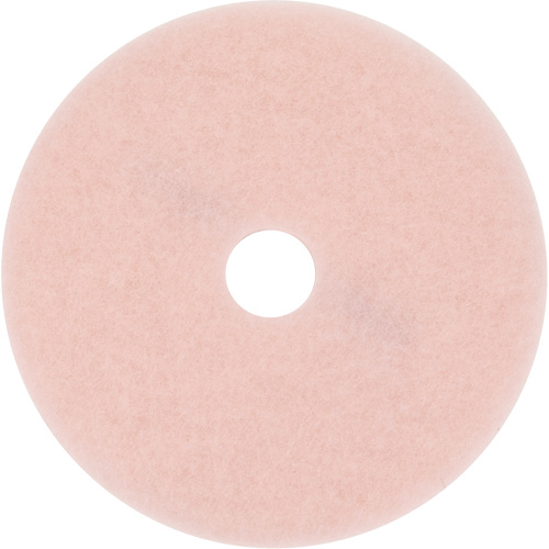 Tampon haute performance, 17", Brunissage, Rose Southpoint Industrial Supply