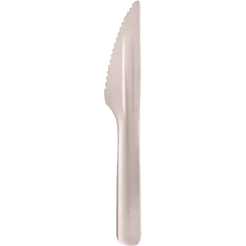 Bagasse Compostable Knives Southpoint Industrial Supply