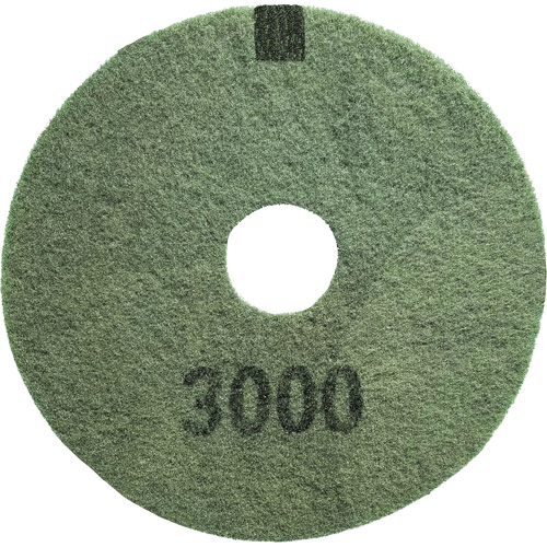 3000 Grit Floor Pad, 16", Scrubbing/Stripping, Black Southpoint Industrial Supply