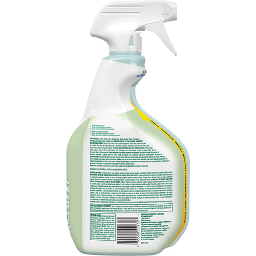 Nettoyant d&eacute;sinfectant CloroxPro Clorox EcoClean, 946 ml, Bouteille &agrave; g&acirc;chette Southpoint Industrial Supply