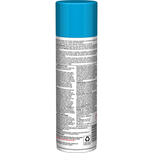 Pro Line Crazy Clean&reg; All Purpose Cleaner, 19 oz., Aerosol Can Southpoint Industrial Supply
