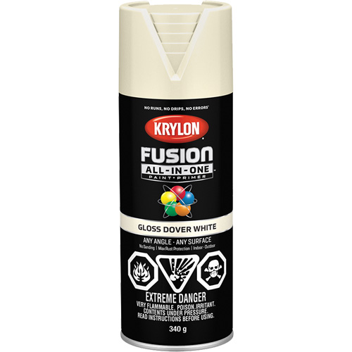 Fusion All-In-One Spray Paint, Dover White, Gloss, 12 oz., Aerosol Can Southpoint Industrial Supply