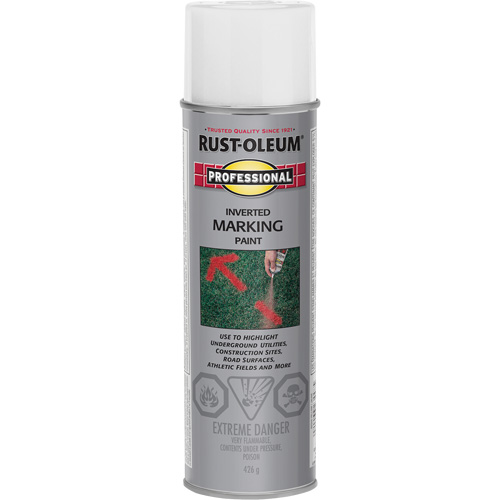 Inverted Marking Paint Spray, 426 g, Aerosol Can Southpoint Industrial Supply
