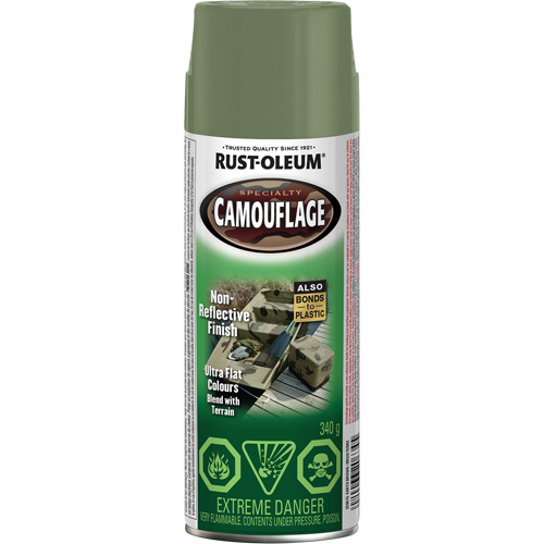 Peinture de camouflage Sp&eacute;cialit&eacute;, Canette a&eacute;rosol, Brun terre Southpoint Industrial Supply