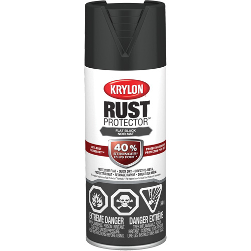 Rust Protector&reg; Enamel Paint, Black, Very Flat, 12 oz., Aerosol Can Southpoint Industrial Supply