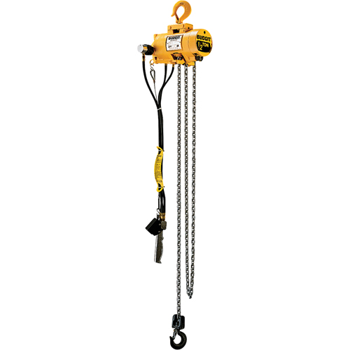 Palans pneumatiques &agrave; chaîne Budgit Southpoint Industrial Supply
