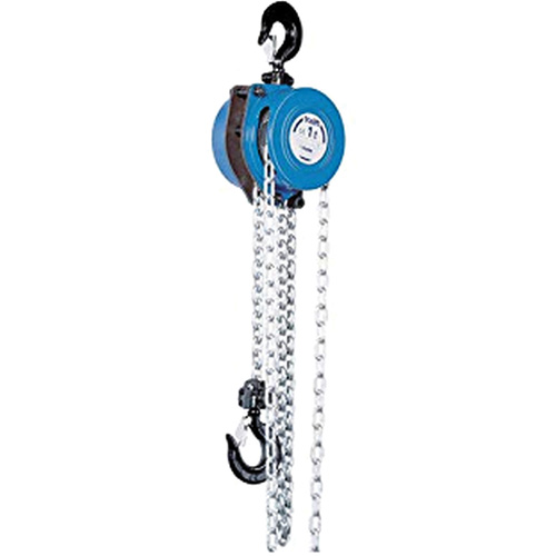 Tralift&reg; Manual Chain Hoist, 10' Lift, 4000 lbs. (2 tons) Capacity, Grade 80 Chain Southpoint Industrial Supply