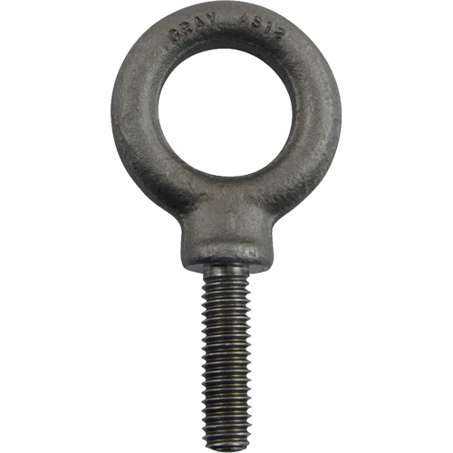 Alloy Steel Eye Bolt, 1" Dia., 1-1/4" L, 1480 lbs. (0.74 tons)/1480 lbs. Capacity Southpoint Industrial Supply