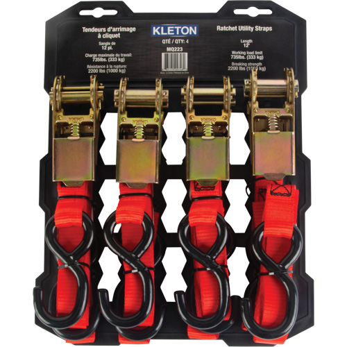 Tendeur d'arrimage &agrave; cliquet, Crochet en S, 1" , 12' , Charge d'utilisation max. 2200 lb (998 kg) Southpoint Industrial Supply